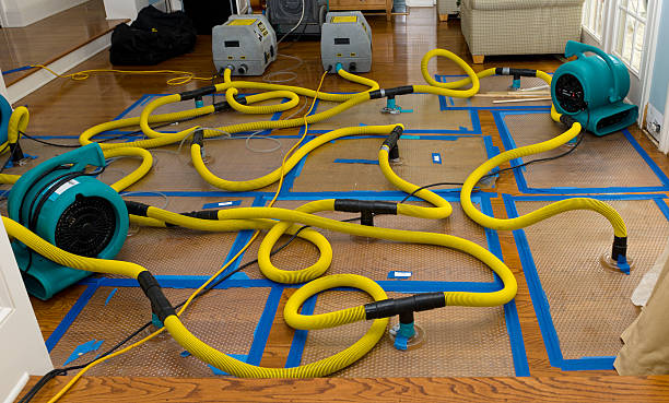 Professional Water Damage Restoration technician working in Van Wert, OH